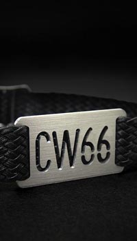 wristlet